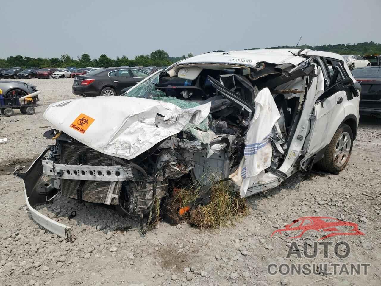 FORD ESCAPE 2018 - 1FMCU0F71JUD61054