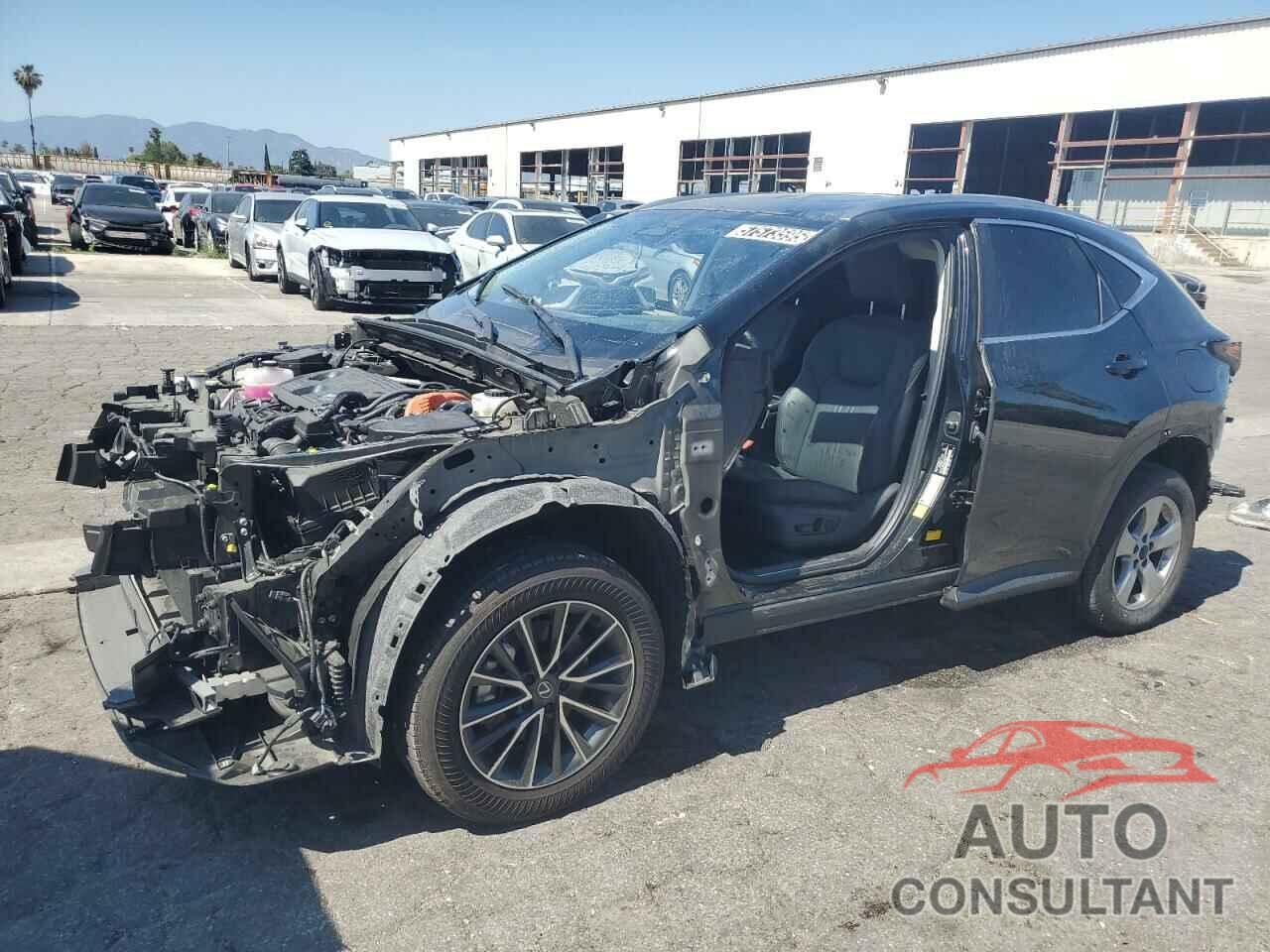 LEXUS NX 350H BA 2024 - JTJGKCEZ0R2032866