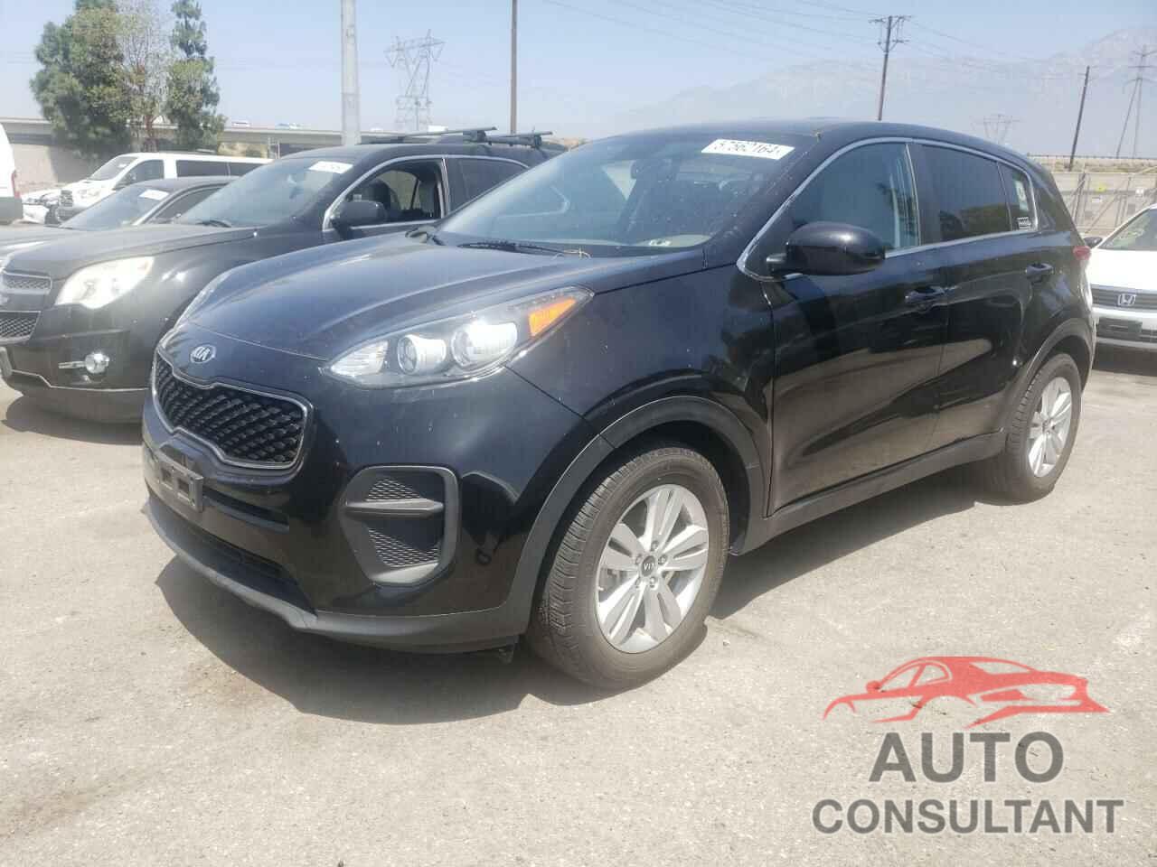 KIA SPORTAGE 2019 - KNDPM3AC7K7613059