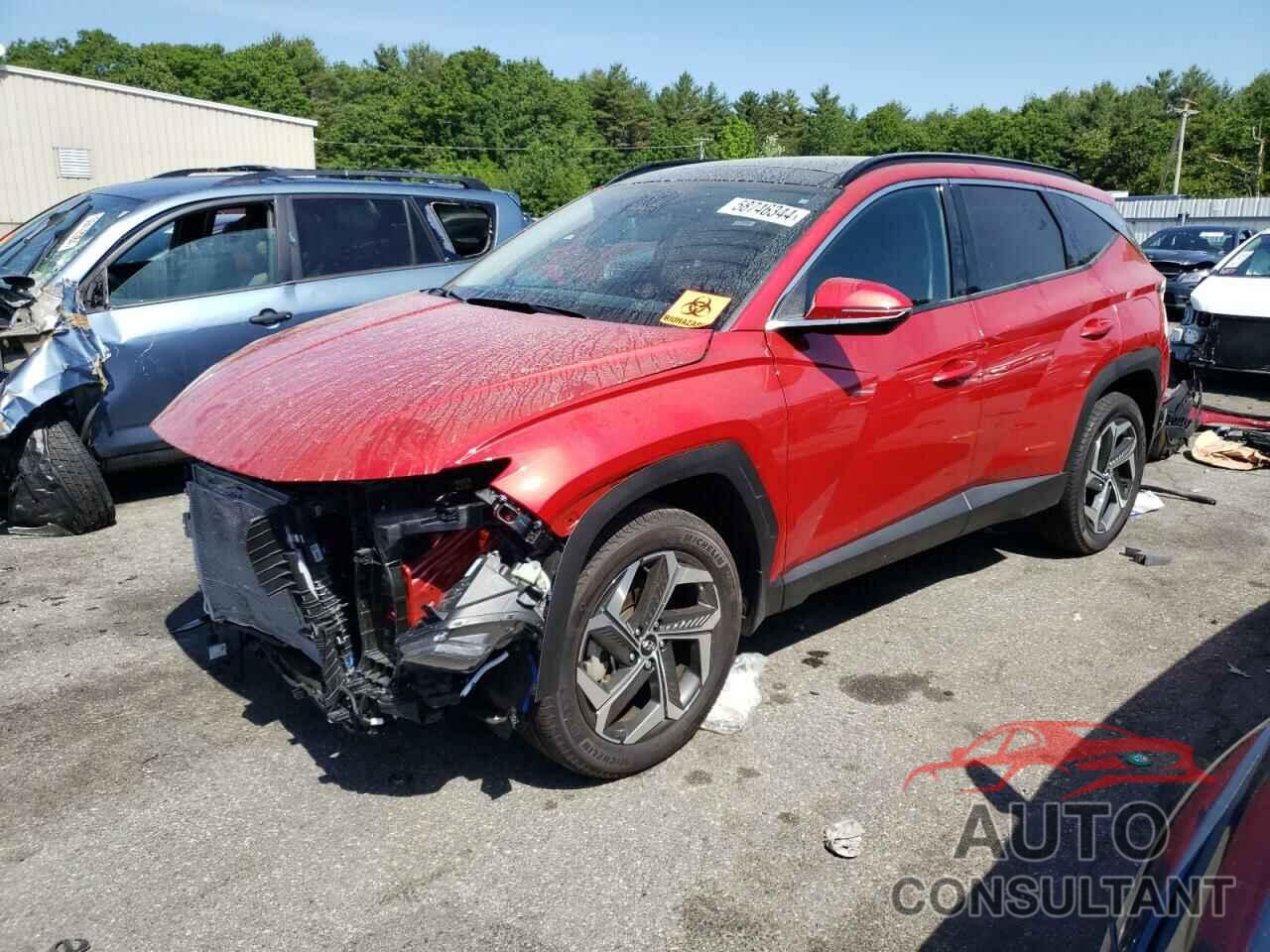 HYUNDAI TUCSON 2023 - 5NMJECAE8PH275675