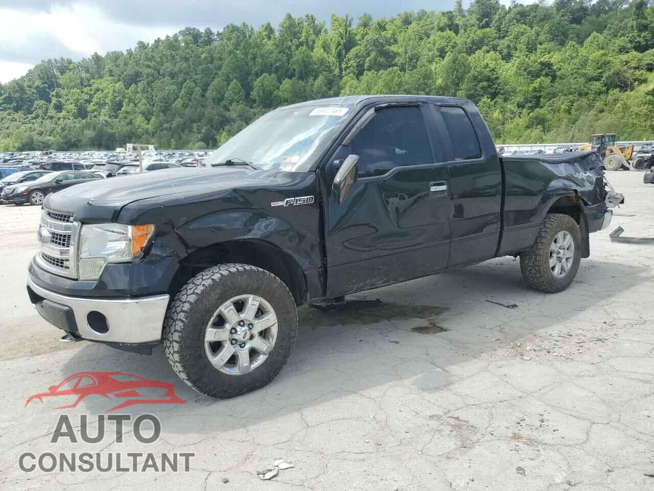 FORD F-150 2013 - 1FTFX1EF1DFA59005