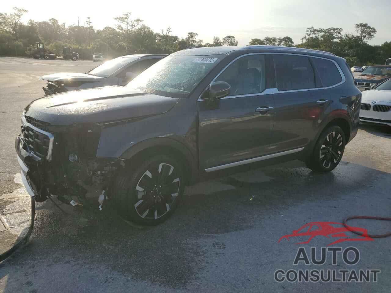 KIA TELLURIDE 2024 - 5XYP54GC6RG465493