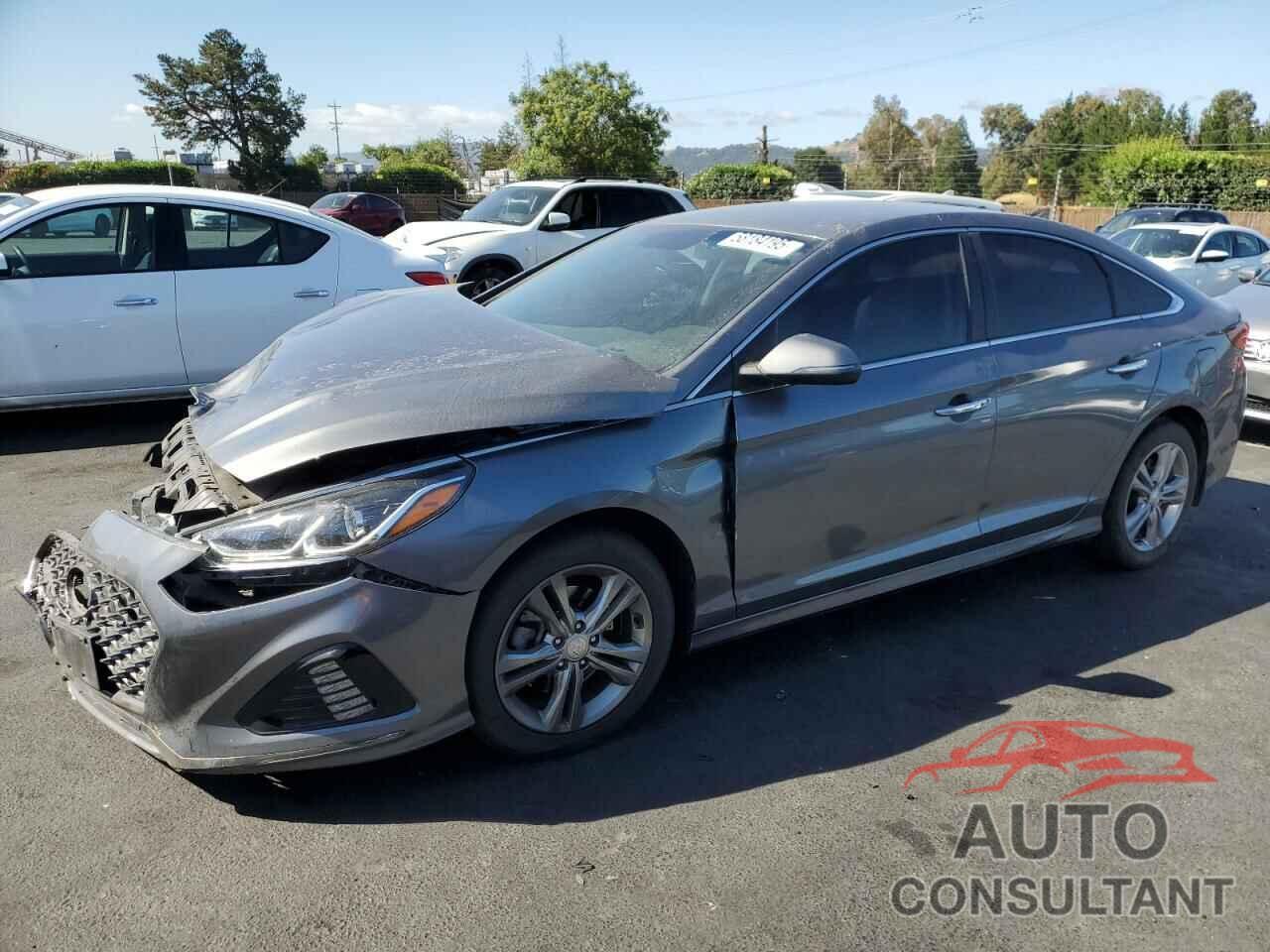 HYUNDAI SONATA 2019 - 5NPE34AF2KH797400