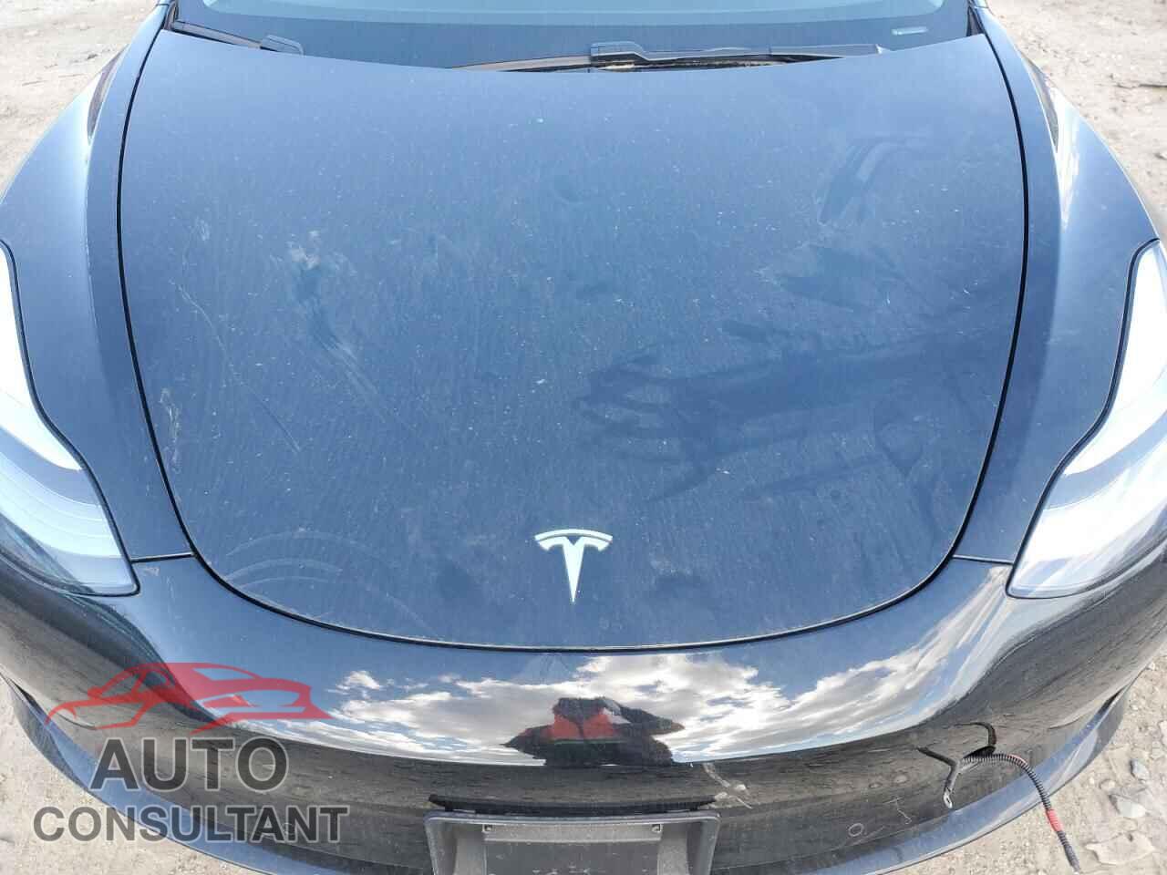 TESLA MODEL 3 2019 - 5YJ3E1EB8KF441619