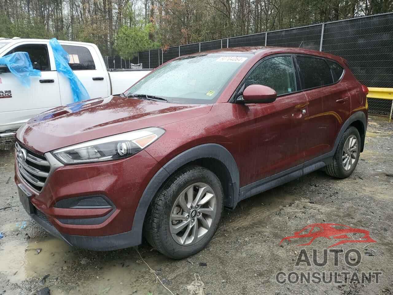 HYUNDAI TUCSON 2016 - KM8J23A48GU125926