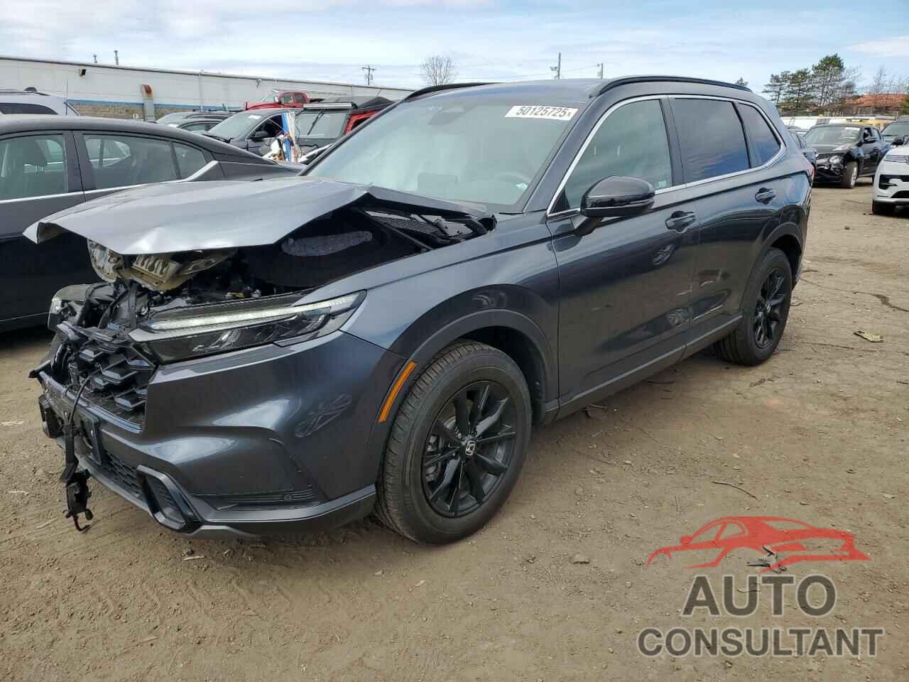 HONDA CRV 2024 - 2HKRS6H84RH810486
