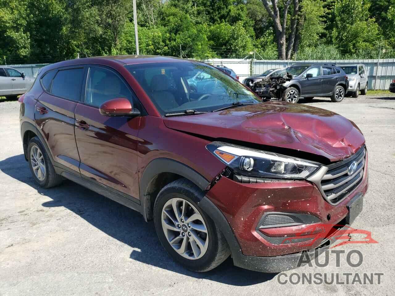 HYUNDAI TUCSON 2016 - KM8J23A42GU034764