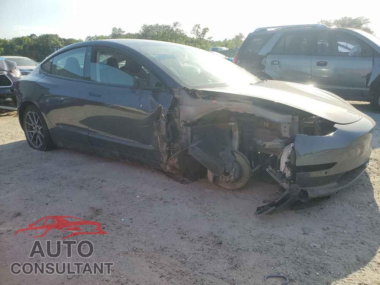TESLA MODEL 3 2021 - 5YJ3E1EA5MF090808
