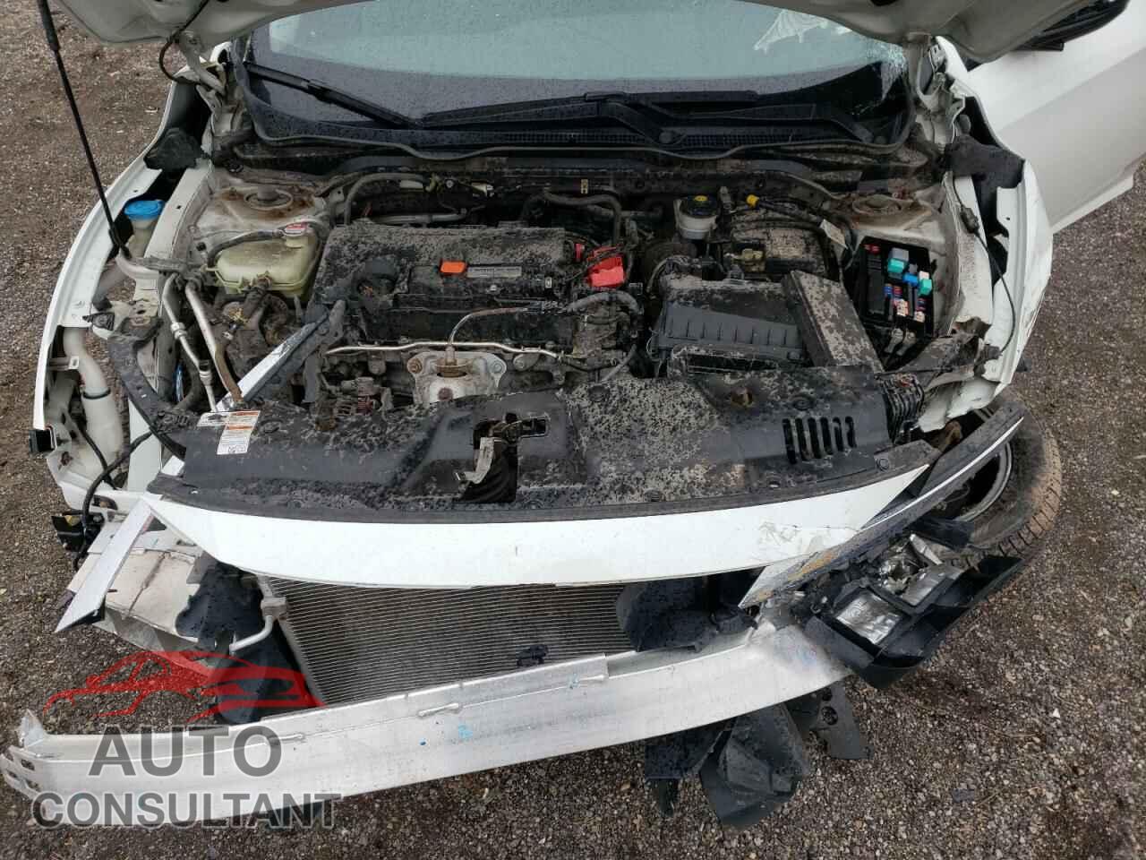HONDA CIVIC 2016 - 2HGFC2F71GH033713