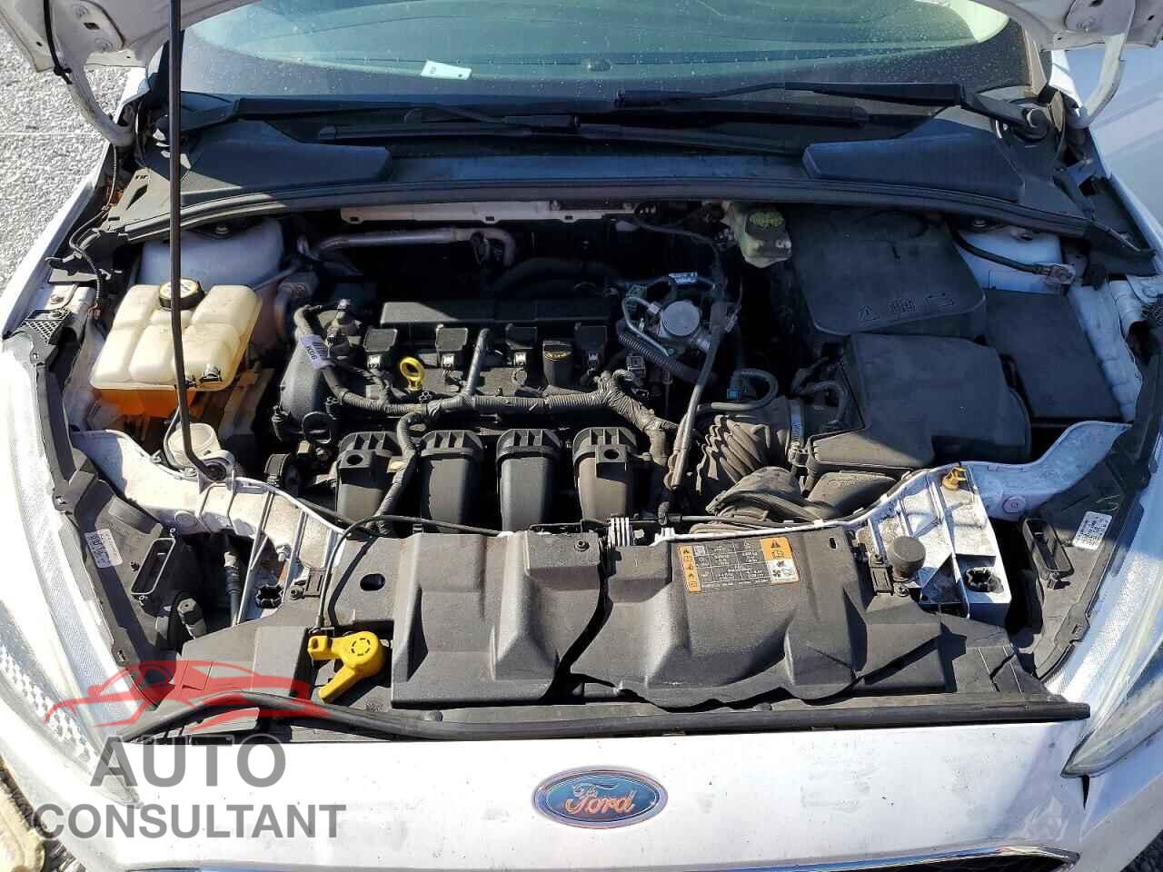 FORD FOCUS 2017 - 1FADP3K26HL231255