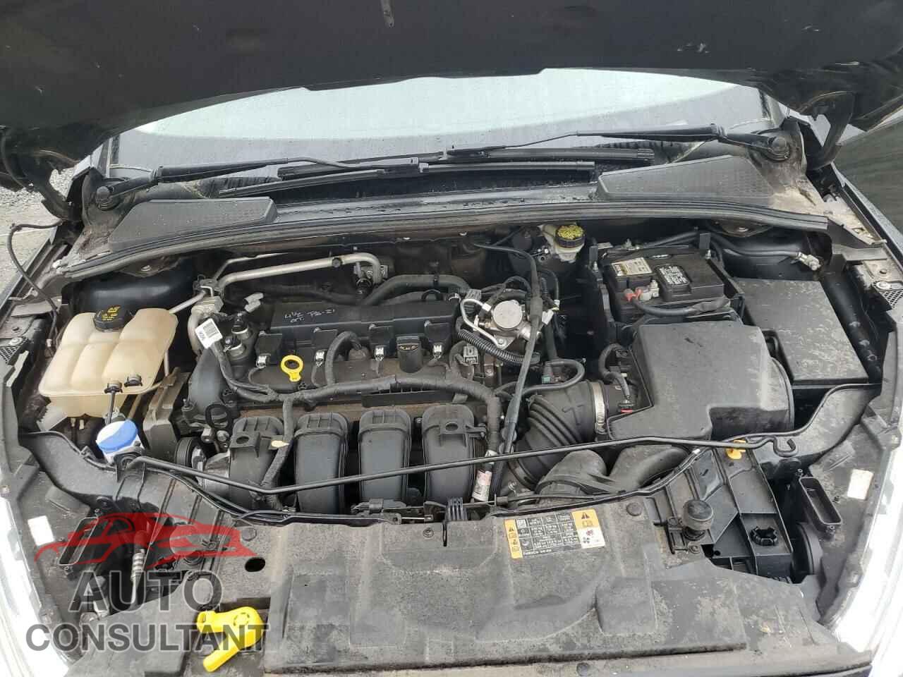 FORD FOCUS 2016 - 1FADP3N20GL327909
