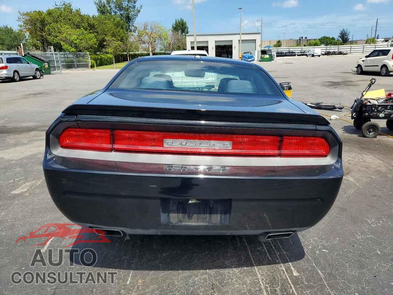 DODGE CHALLENGER 2014 - 2C3CDYBT0EH205400