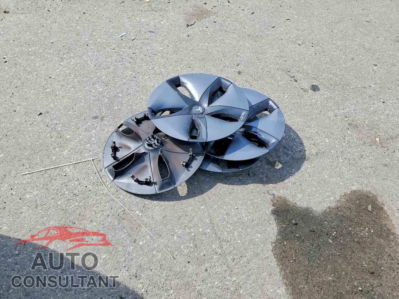 TESLA MODEL 3 2019 - 5YJ3E1EA3KF308841