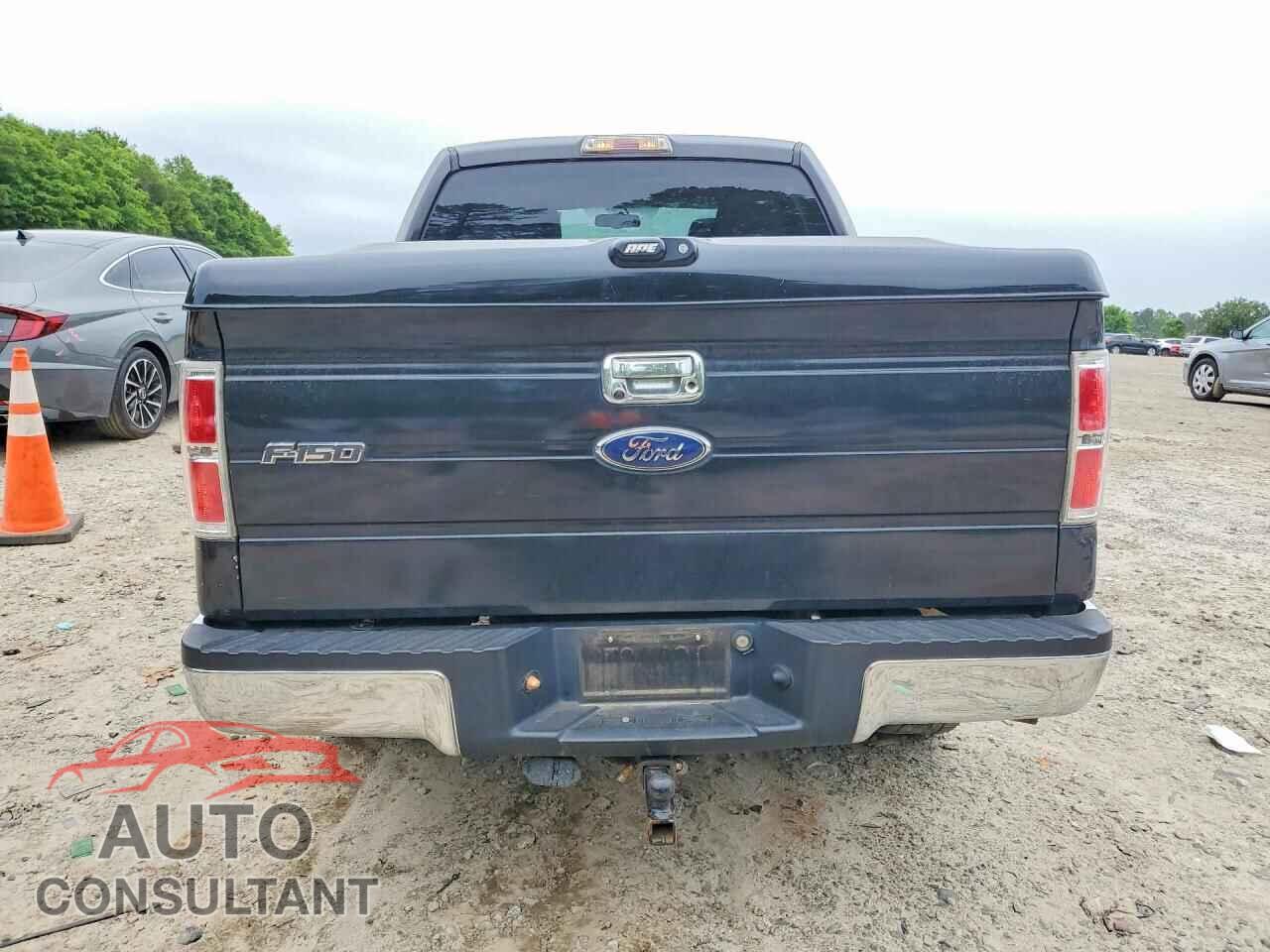 FORD All Models 2010 - 1FTEW1C84AFD60740