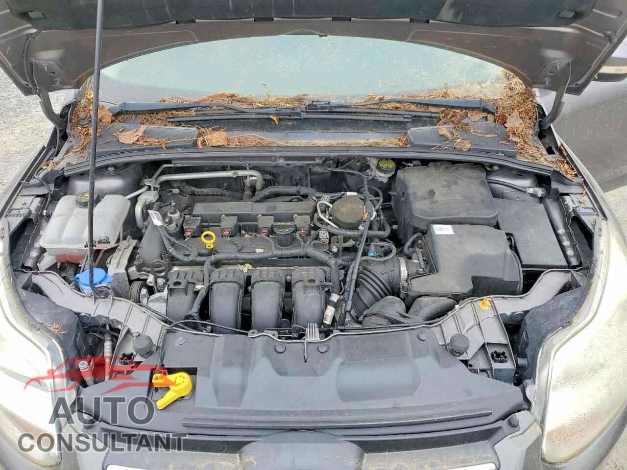 FORD FOCUS 2014 - 1FADP3F21EL278568