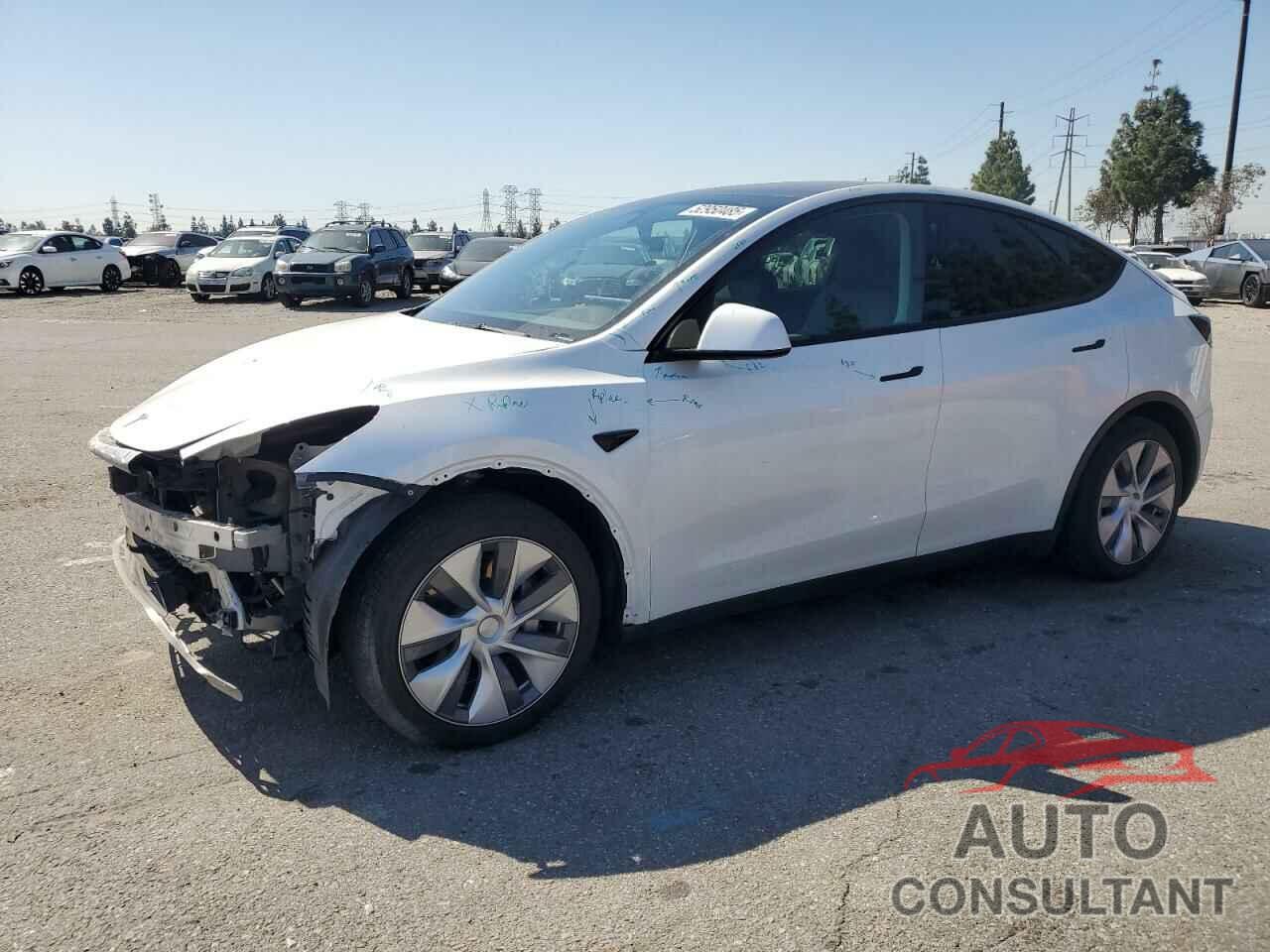 TESLA MODEL Y 2021 - 5YJYGDEE9MF153493
