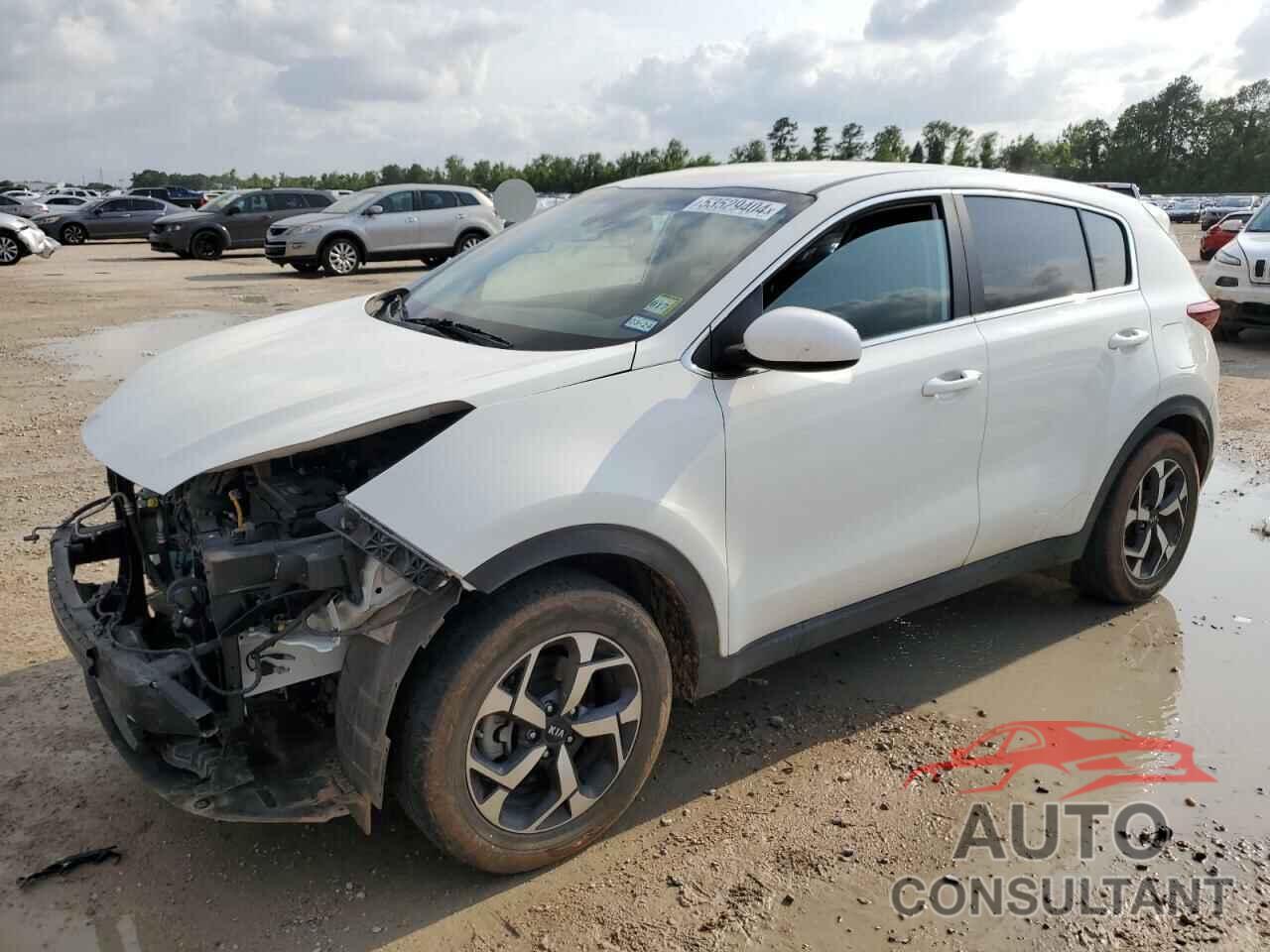 KIA SPORTAGE 2020 - KNDPM3AC2L7828639