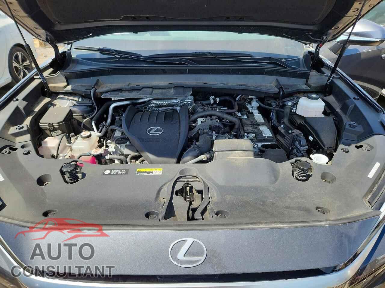 LEXUS UNKNOWN 2024 - 5TDAAAB68RS003229