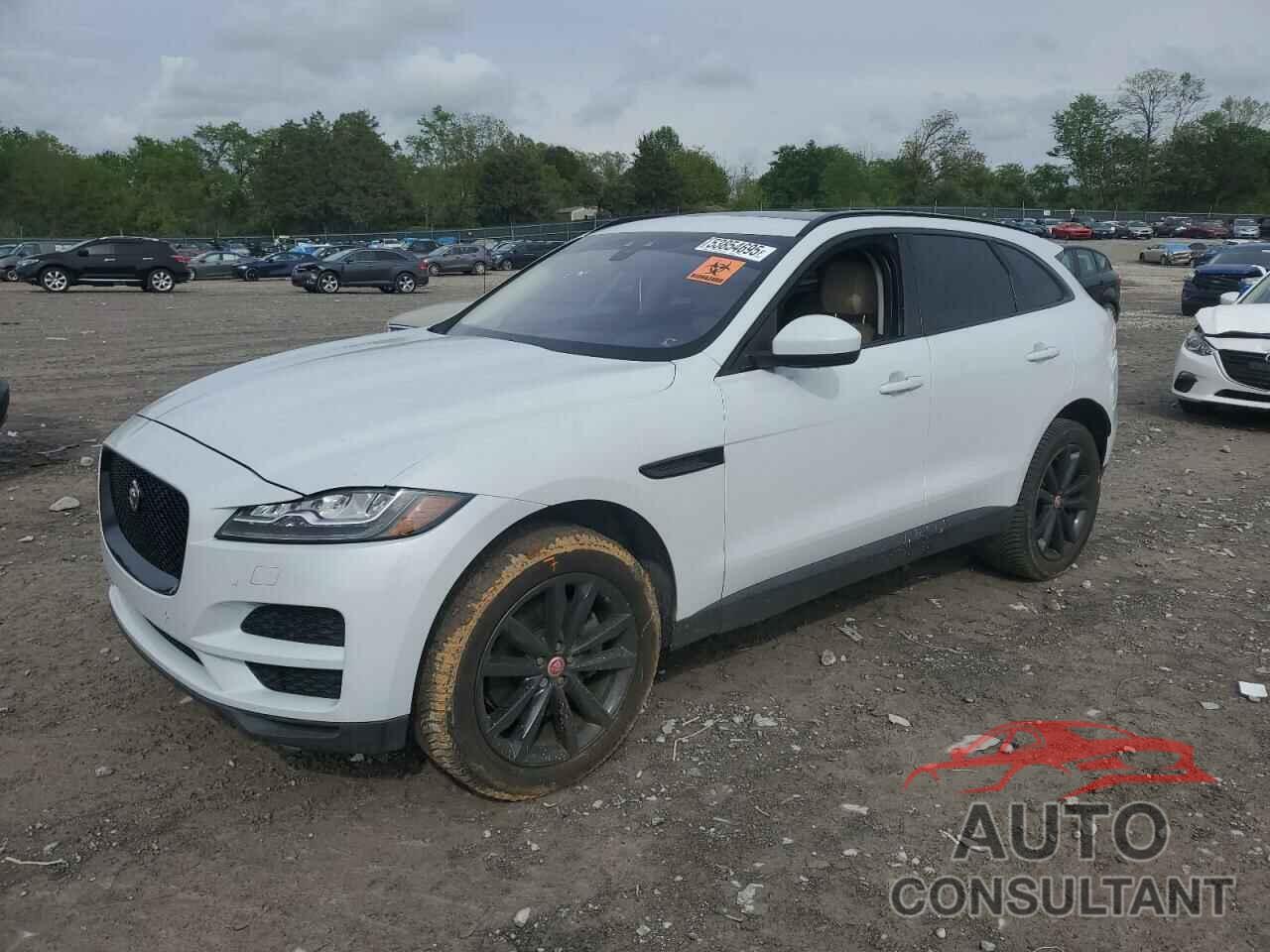 JAGUAR F-PACE 2017 - SADCK2BV9HA098225