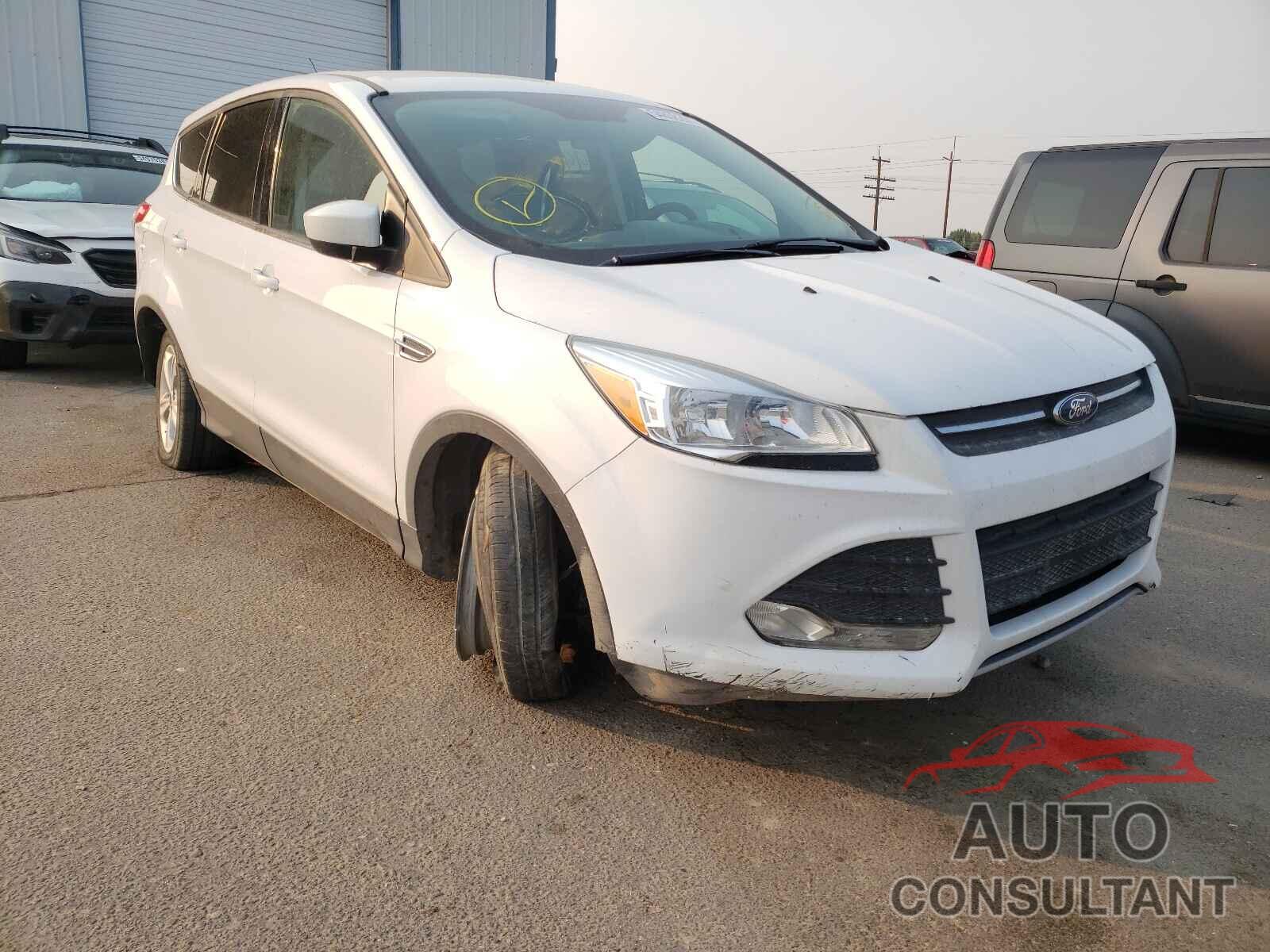 FORD ESCAPE 2016 - 1FMCU0G79GUC88491