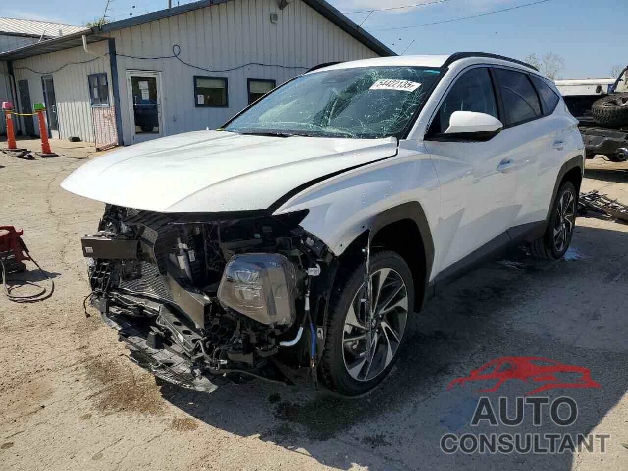 HYUNDAI TUCSON 2024 - 5NMJBCDE2RH374368