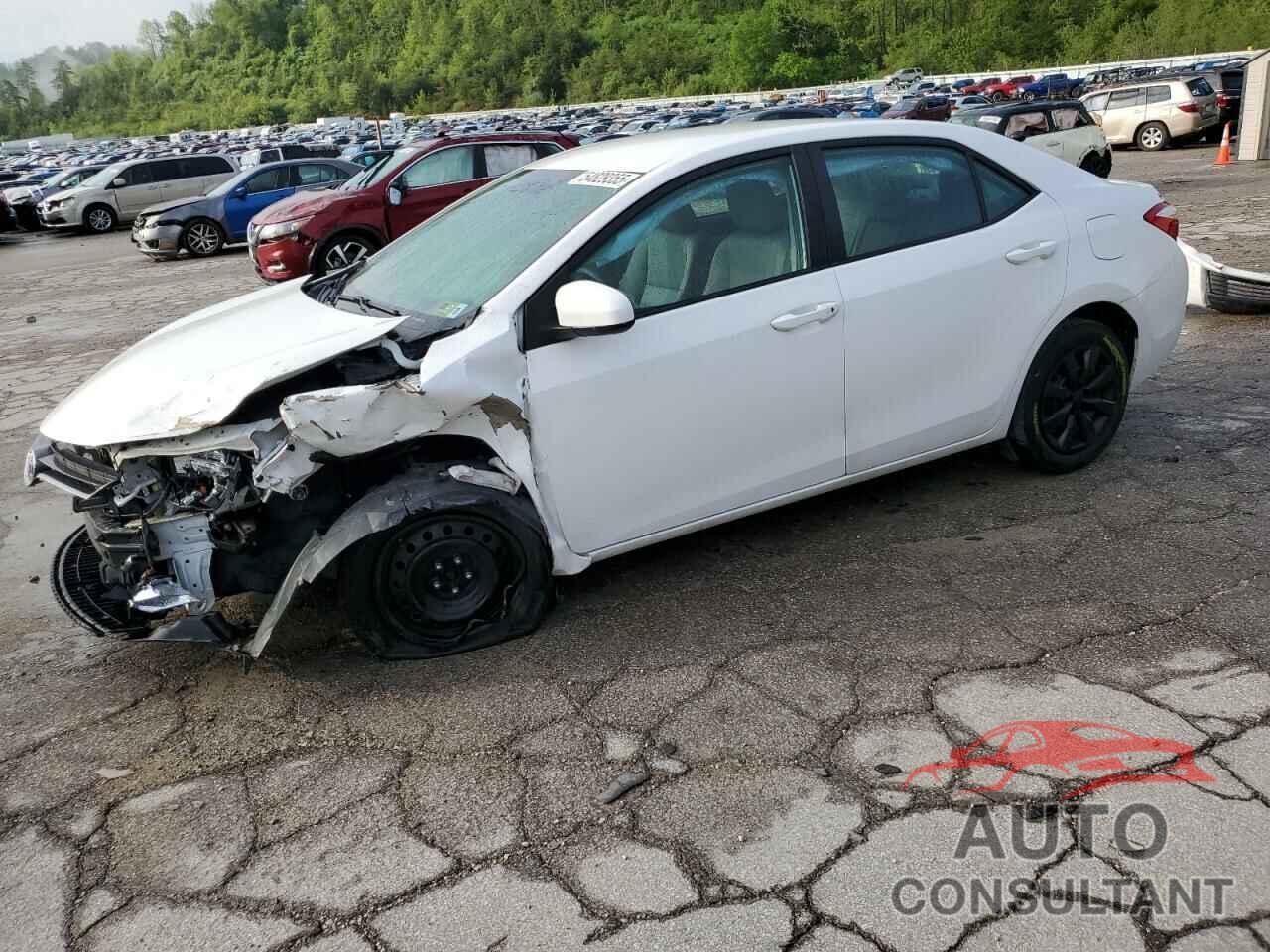 TOYOTA COROLLA 2016 - 2T1BURHE1GC496816