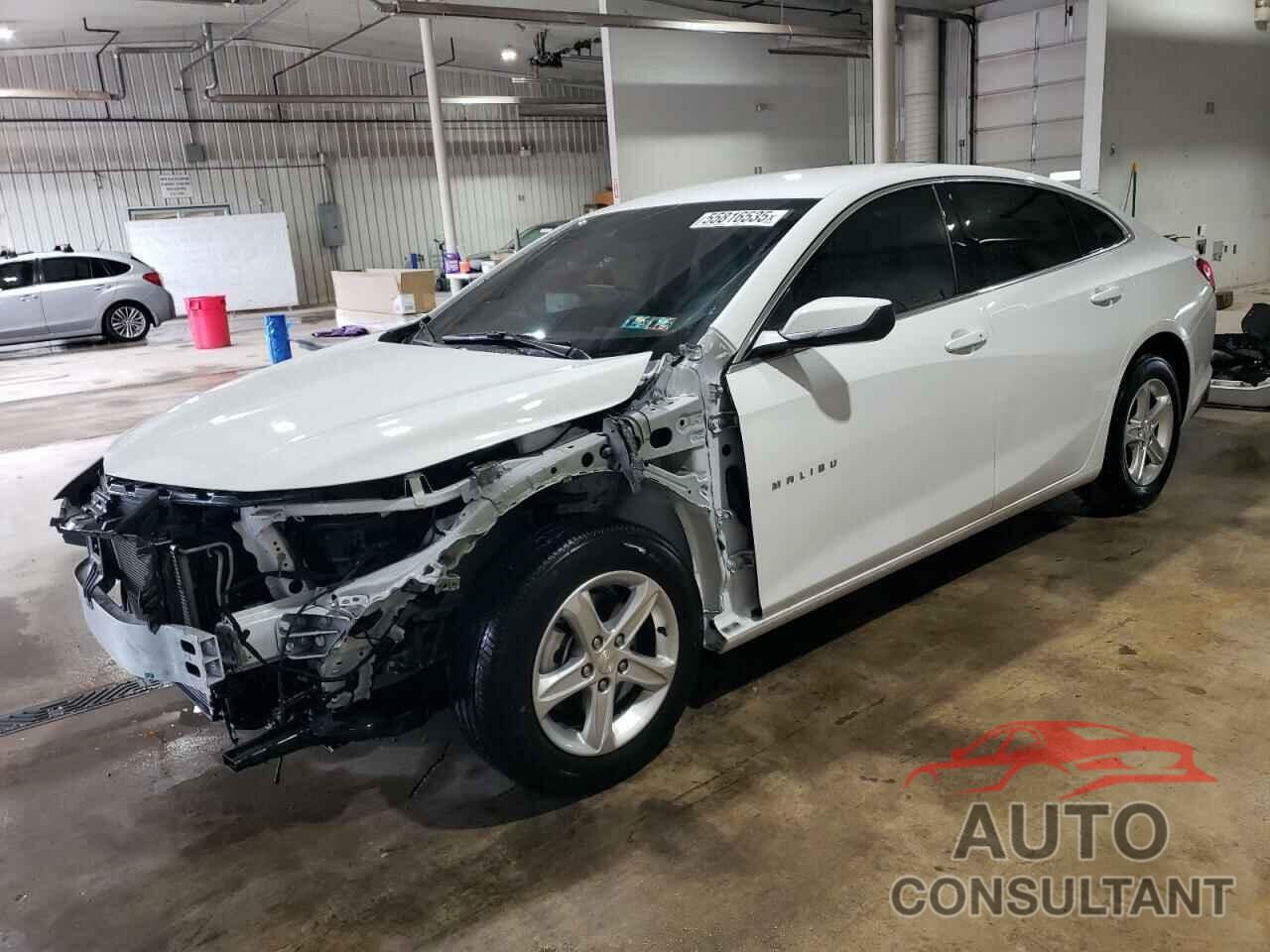 CHEVROLET MALIBU 2024 - 1G1ZB5ST5RF239651
