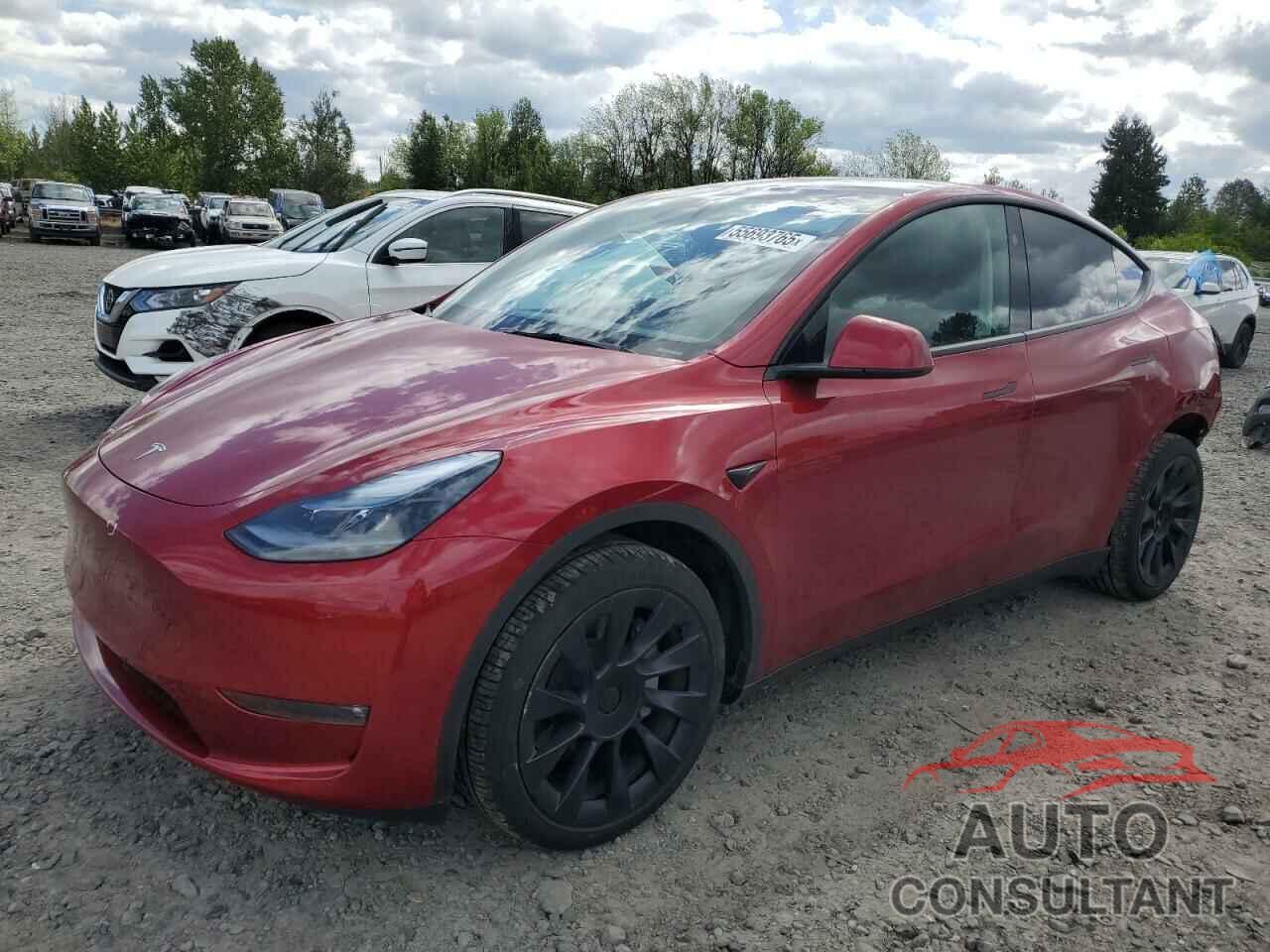 TESLA MODEL Y 2024 - 7SAYGDEE3RF196043