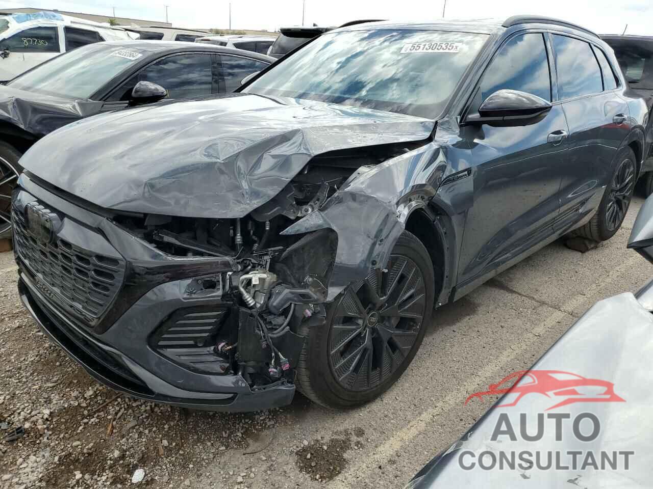 AUDI Q8 E-TRON 2024 - WA16AAGEXRB048776