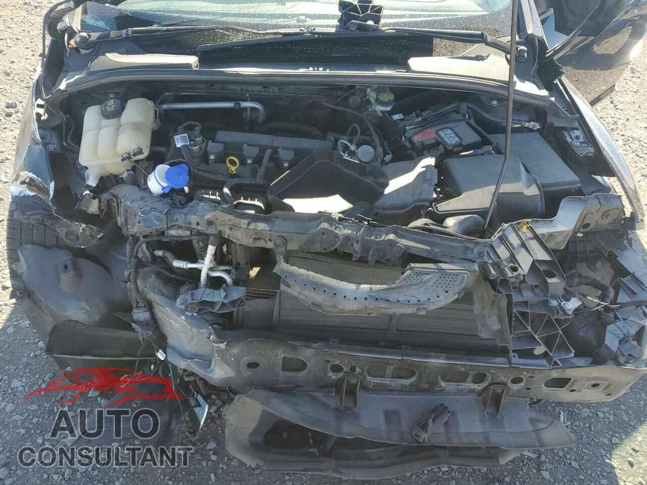 FORD FOCUS 2016 - 1FADP3K23GL344577