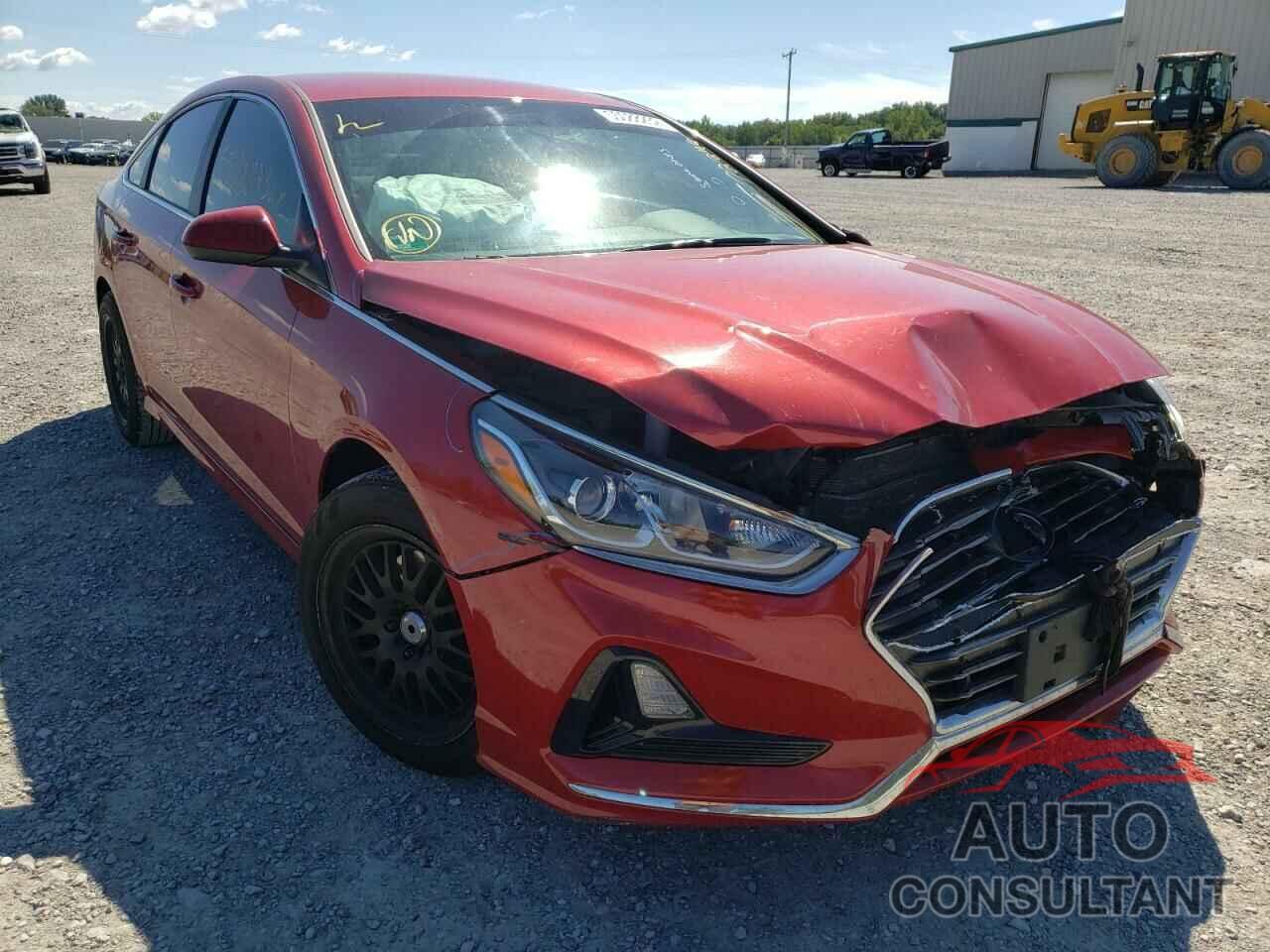 HYUNDAI SONATA 2019 - 5NPE24AF2KH800380