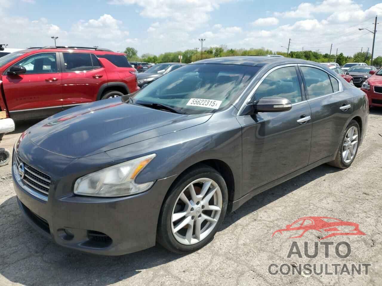 NISSAN MAXIMA 2011 - 1N4AA5AP1BC816829