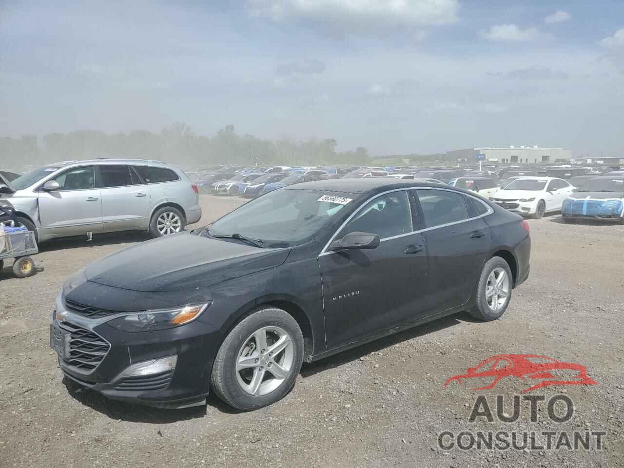 CHEVROLET MALIBU 2019 - 1G1ZB5ST1KF104219
