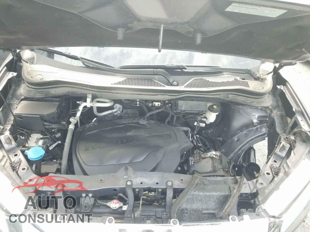 HONDA RIDGELINE 2021 - 5FPYK3F78MB501123