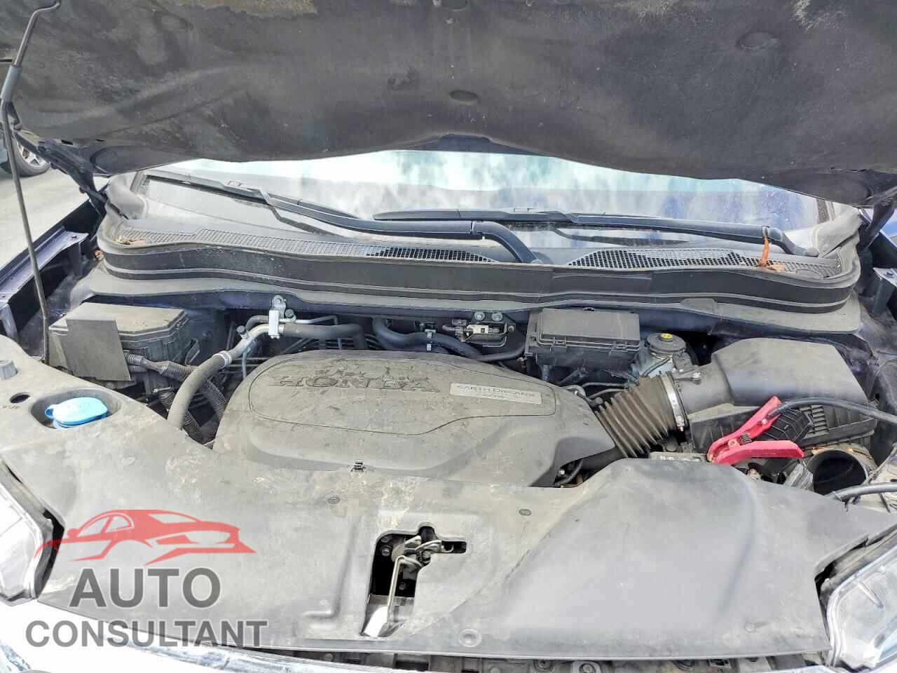 HONDA RIDGELINE 2019 - 5FPYK3F53KB018716