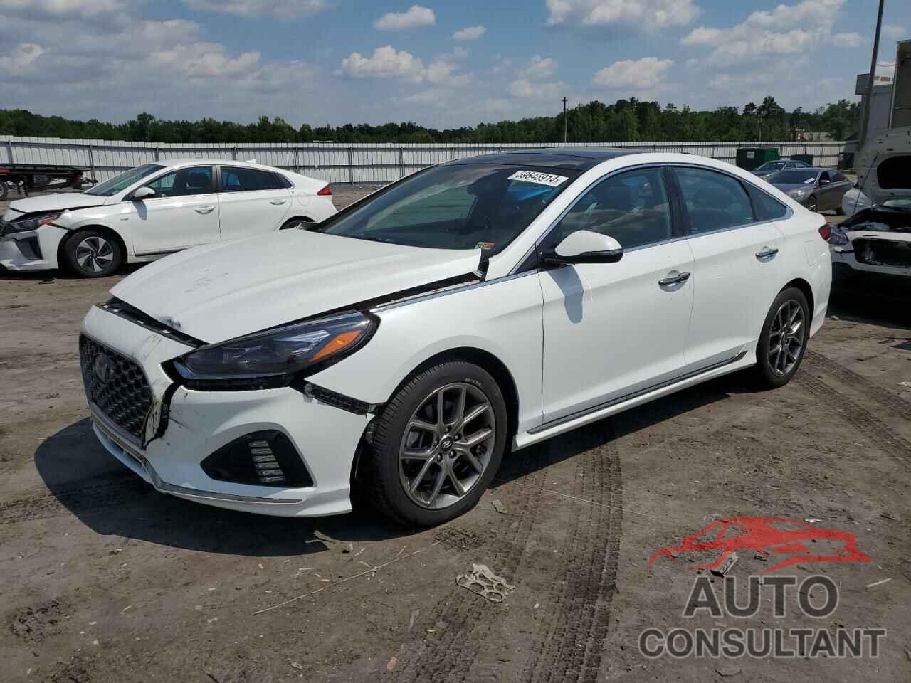 HYUNDAI SONATA 2019 - 5NPE34AB5KH748964