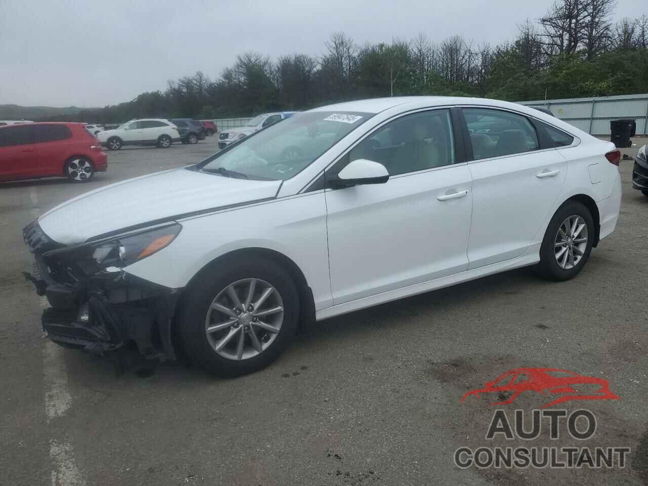 HYUNDAI SONATA 2019 - 5NPE24AF6KH791330