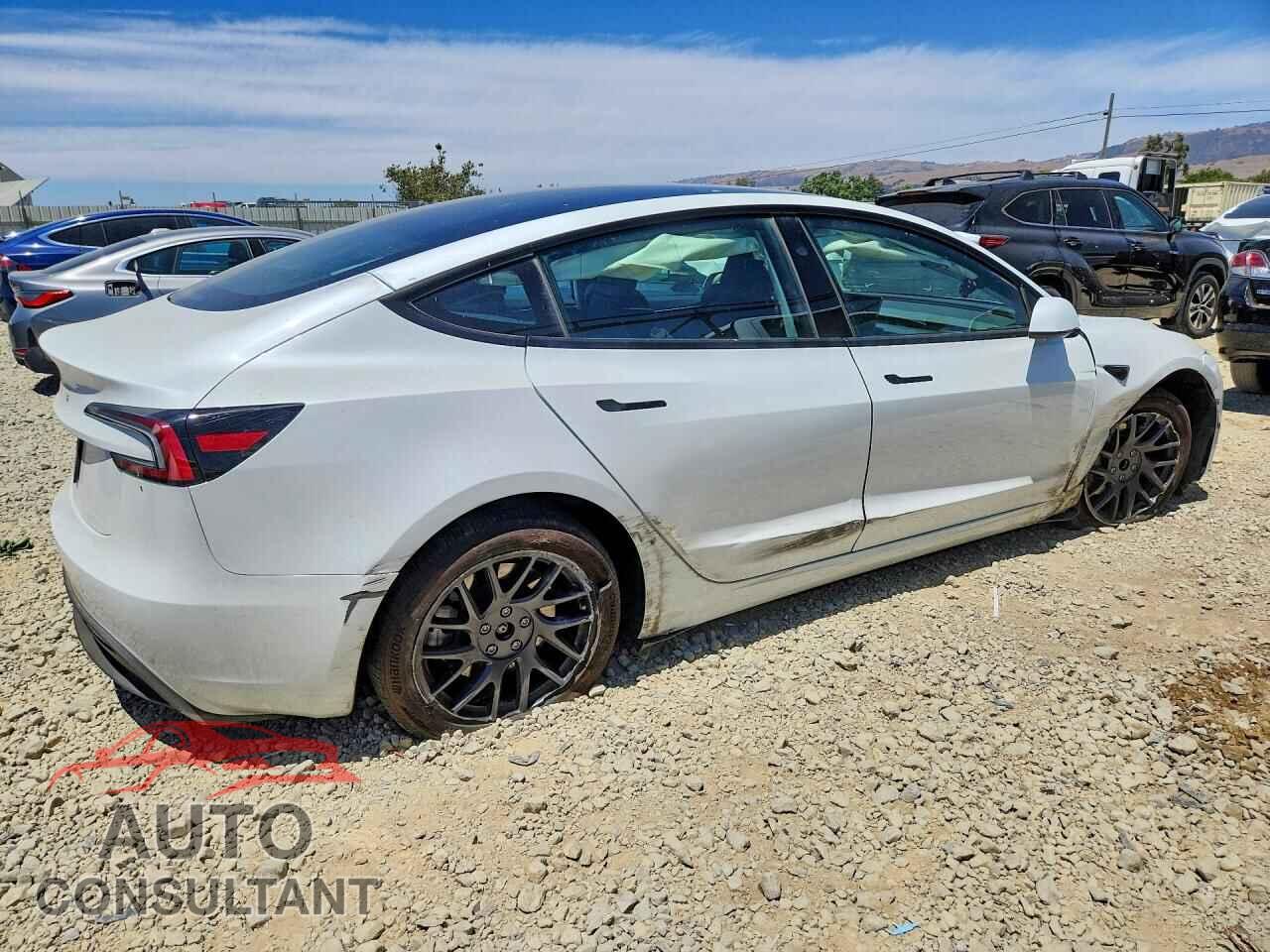 TESLA MODEL 3 2025 - 5YJ3E1EA8SF079380