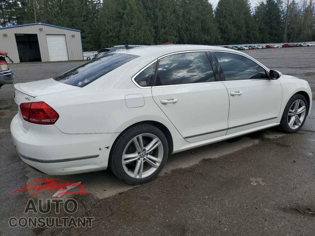 VOLKSWAGEN PASSAT 2012 - 1VWBN7A34CC061668