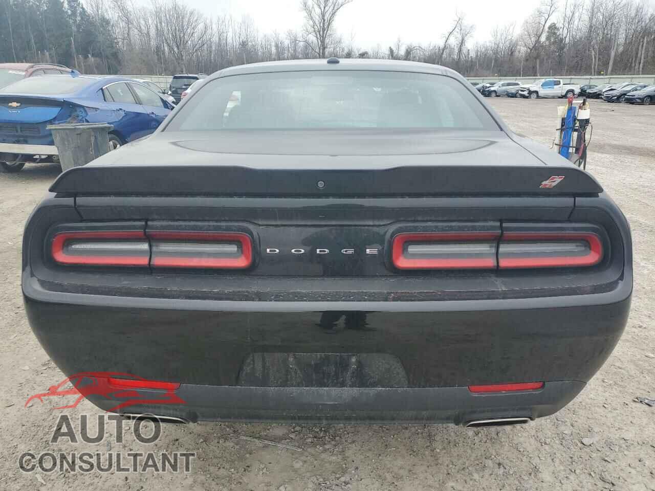 DODGE CHALLENGER 2019 - 2C3CDZGG7KH541641