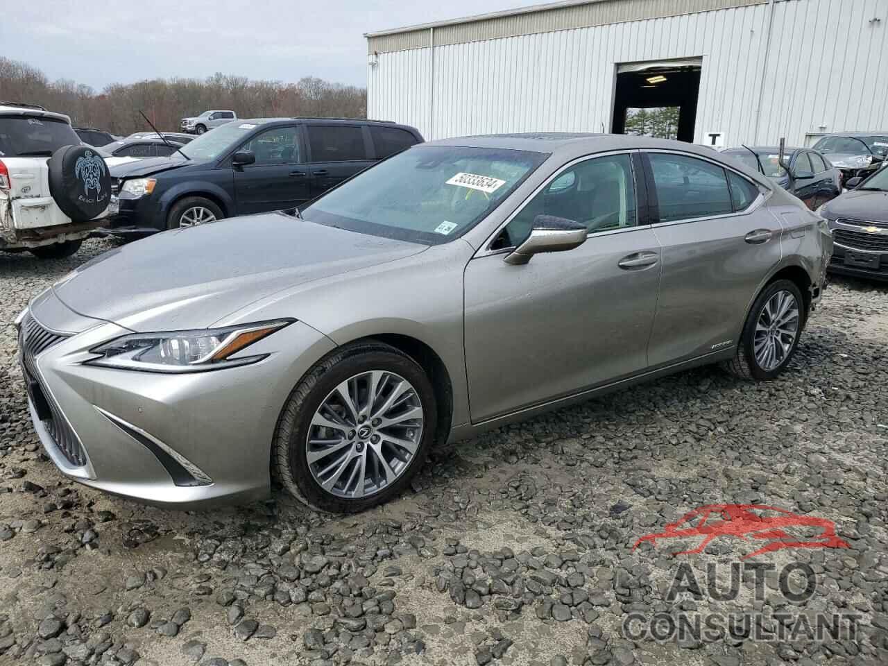 LEXUS ES300 2021 - 58ADA1C15MU002550