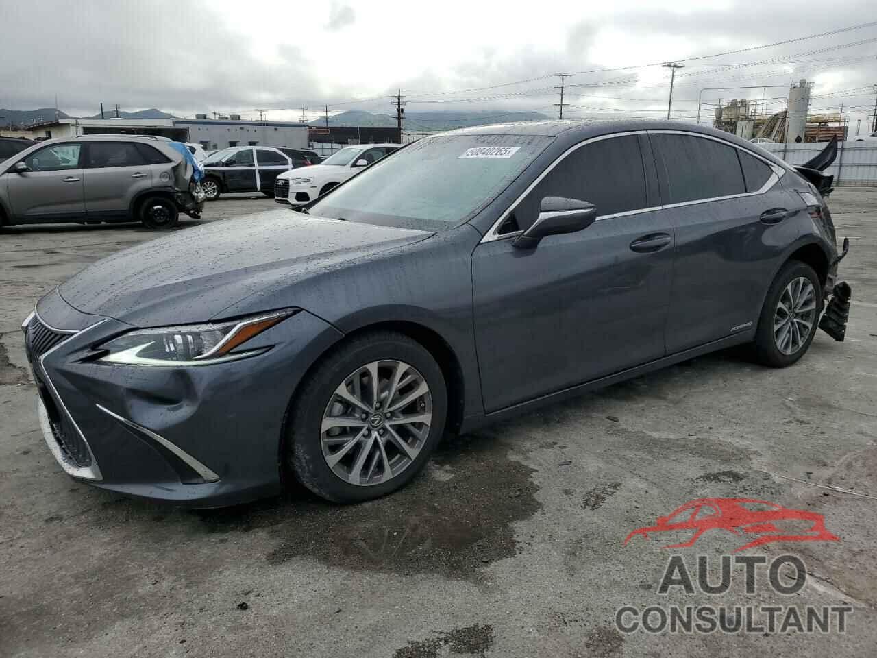 LEXUS ES300 2022 - 58ACA1C1XNU020944