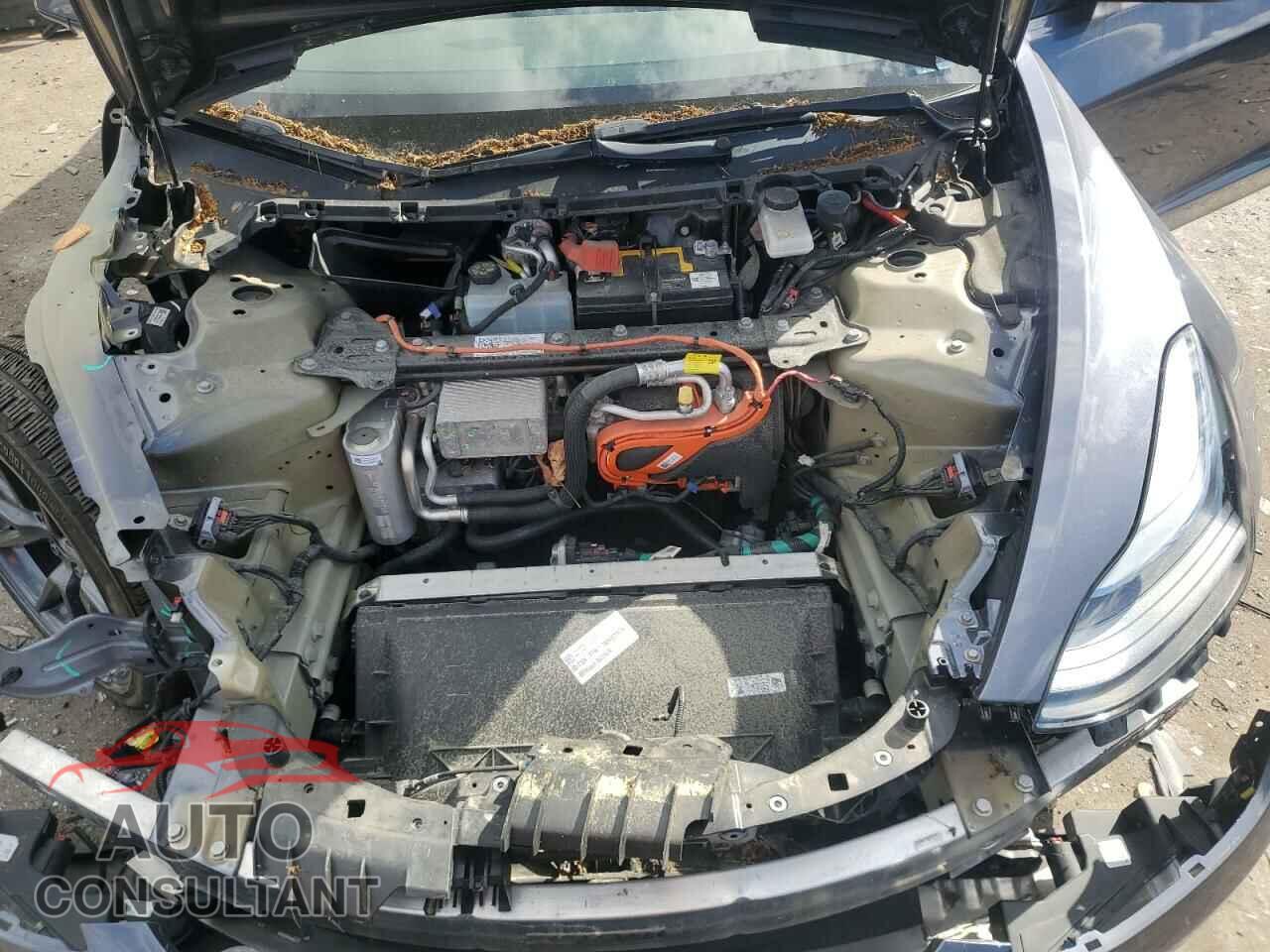 TESLA MODEL 3 2021 - 5YJ3E1EA5MF087892