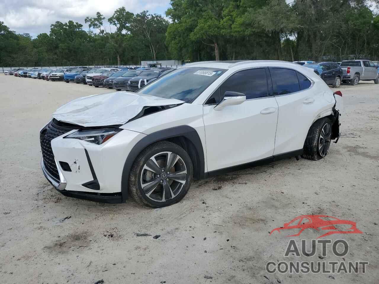 LEXUS UX 200 2019 - JTHY3JBH5K2016803
