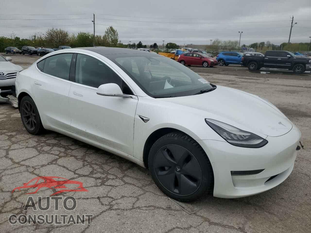 TESLA MODEL 3 2019 - 5YJ3E1EB2KF493621