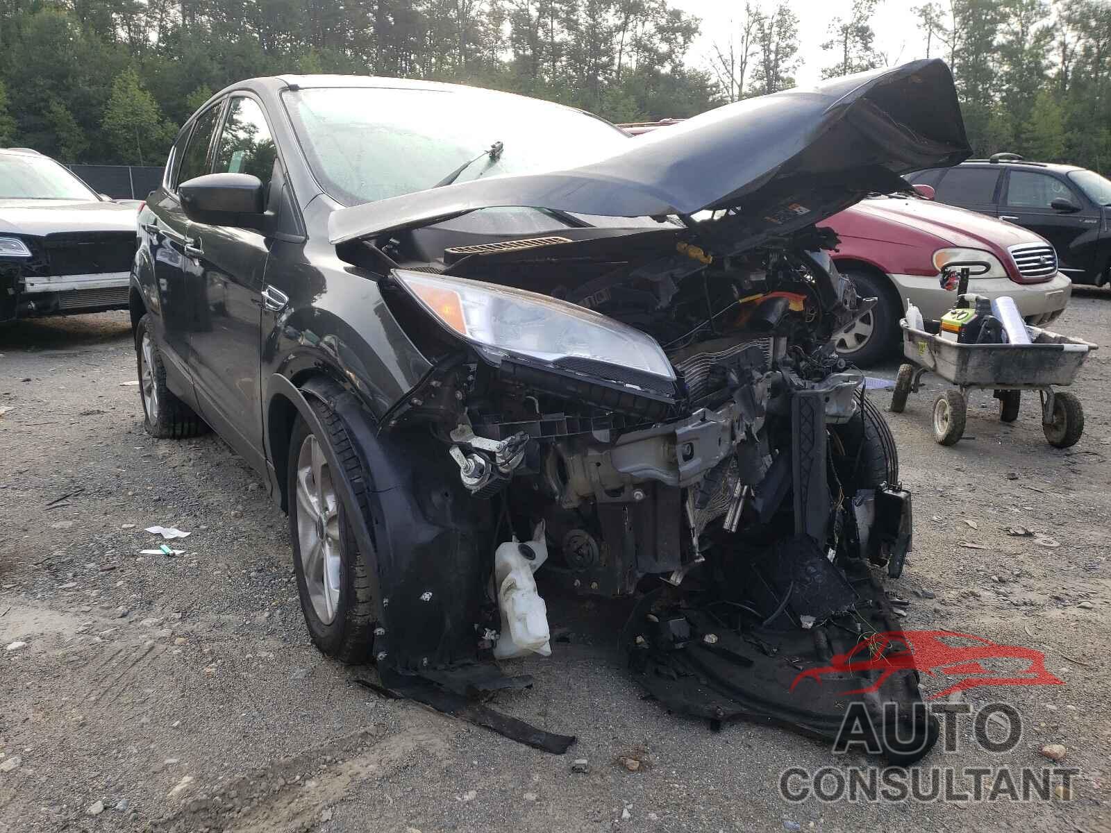 FORD ESCAPE 2016 - 1FMCU0G77GUC35918