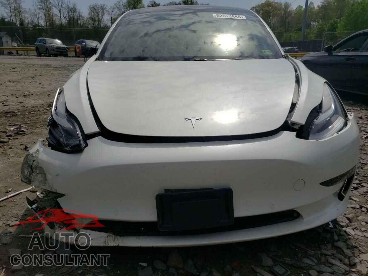 TESLA MODEL 3 2019 - 5YJ3E1EA2KF401592