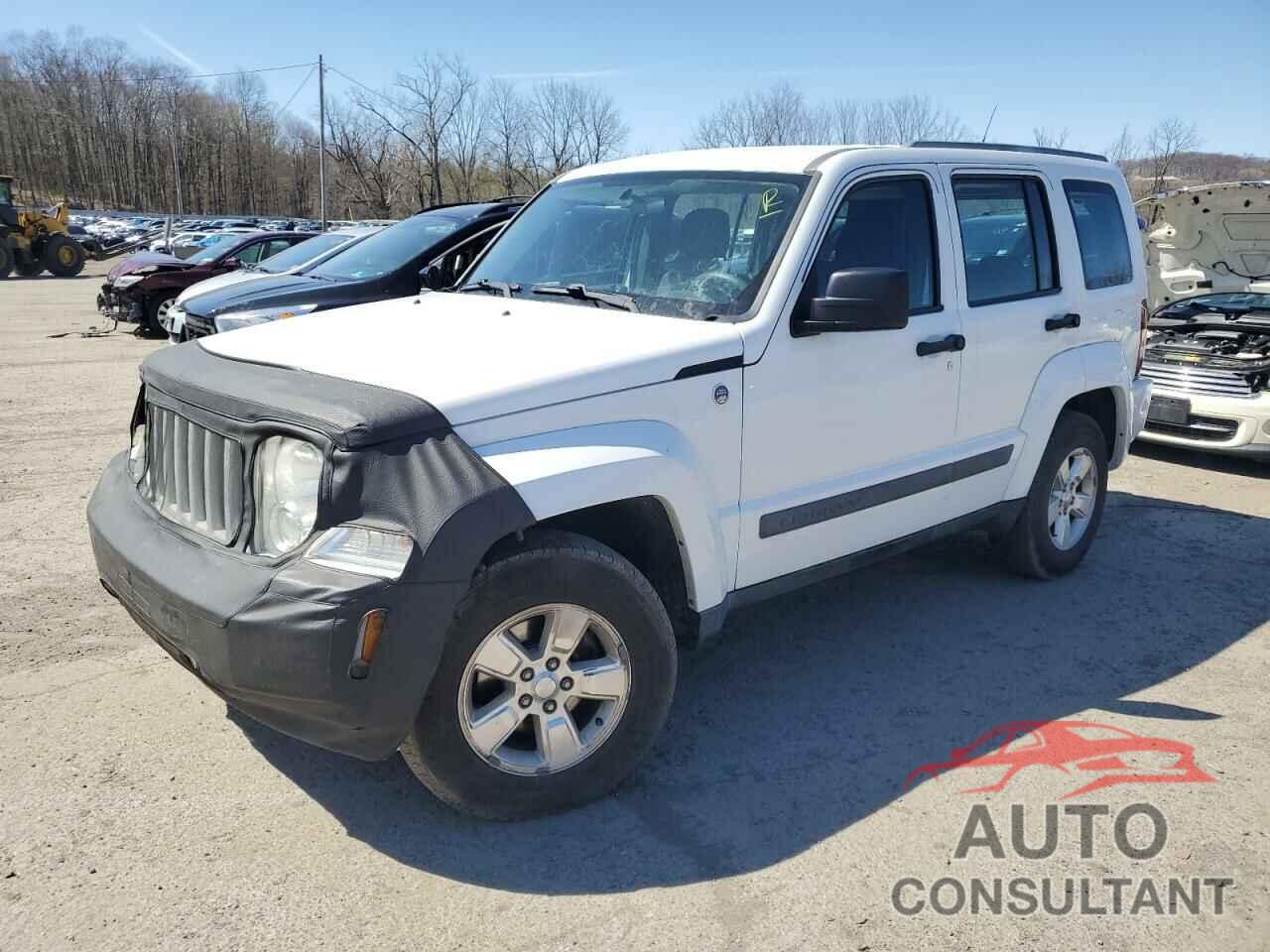 JEEP LIBERTY 2011 - 1J4PN2GKXBW560265