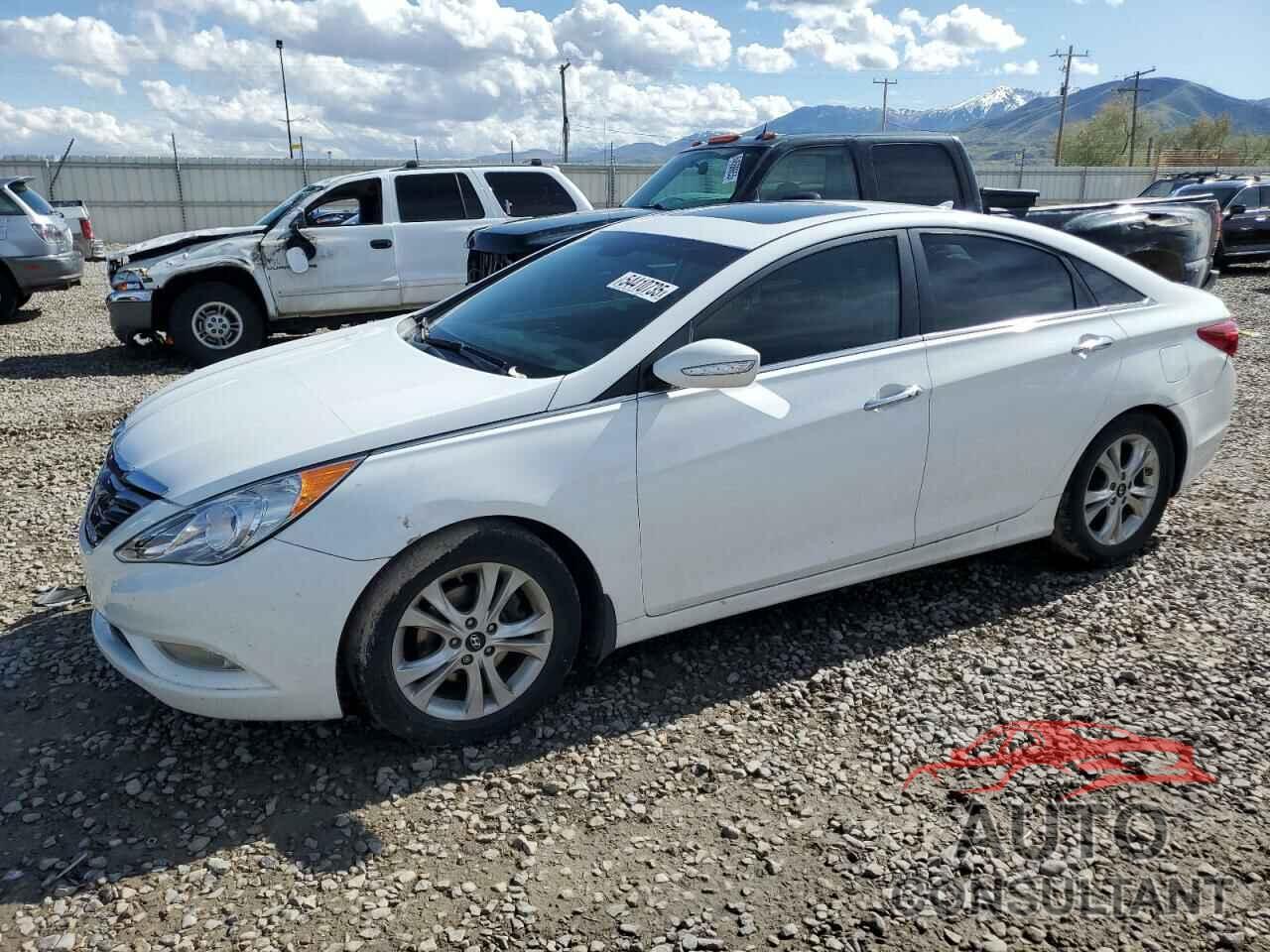 HYUNDAI SONATA 2013 - 5NPEC4ACXDH568696