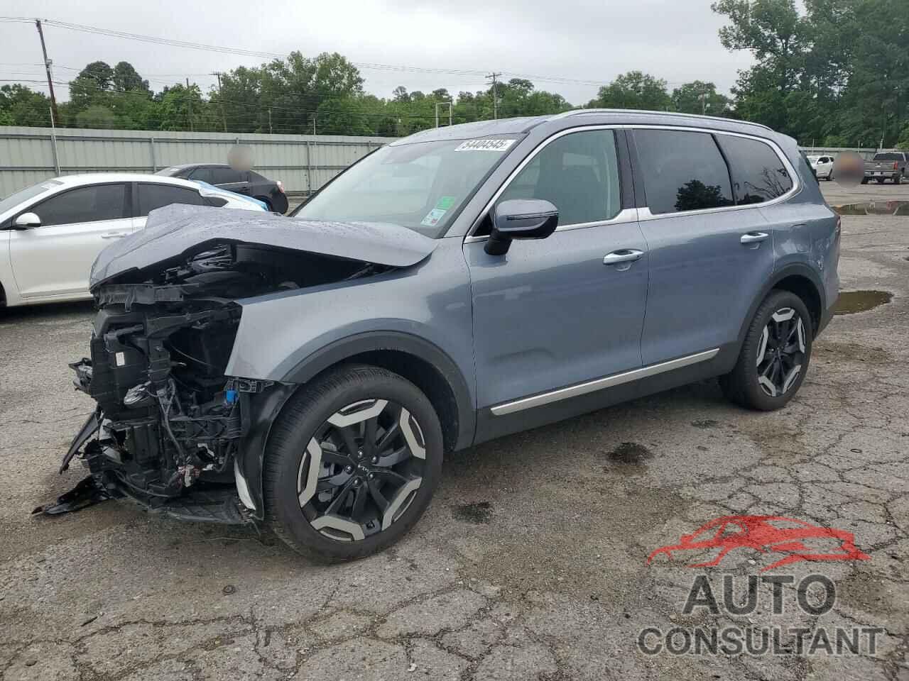 KIA TELLURIDE 2024 - 5XYP6DGC2RG543796